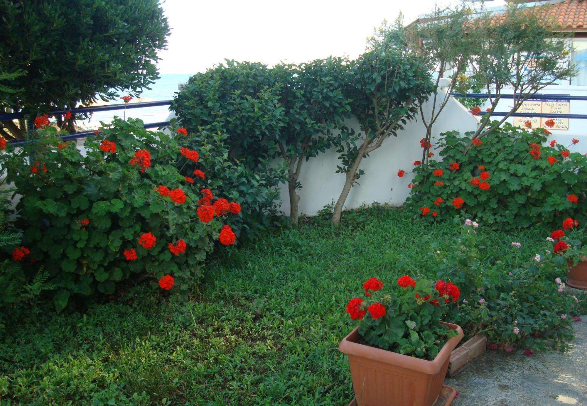 Kardamena  Philippos Studios & Apartments מראה חיצוני תמונה