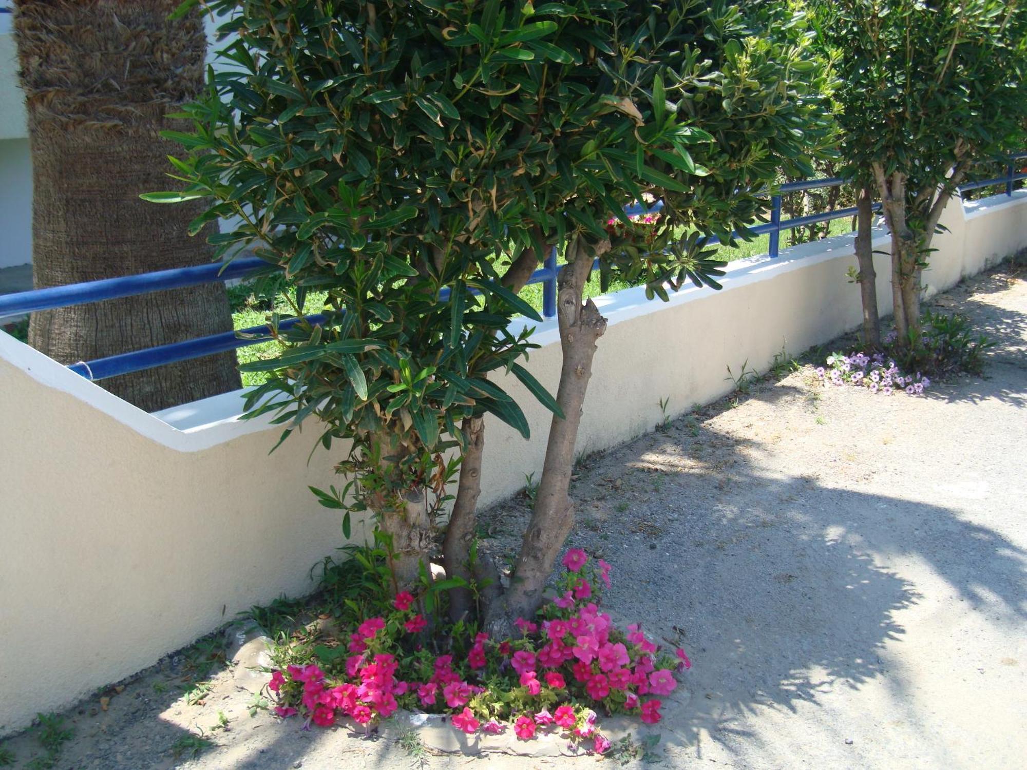 Kardamena  Philippos Studios & Apartments מראה חיצוני תמונה