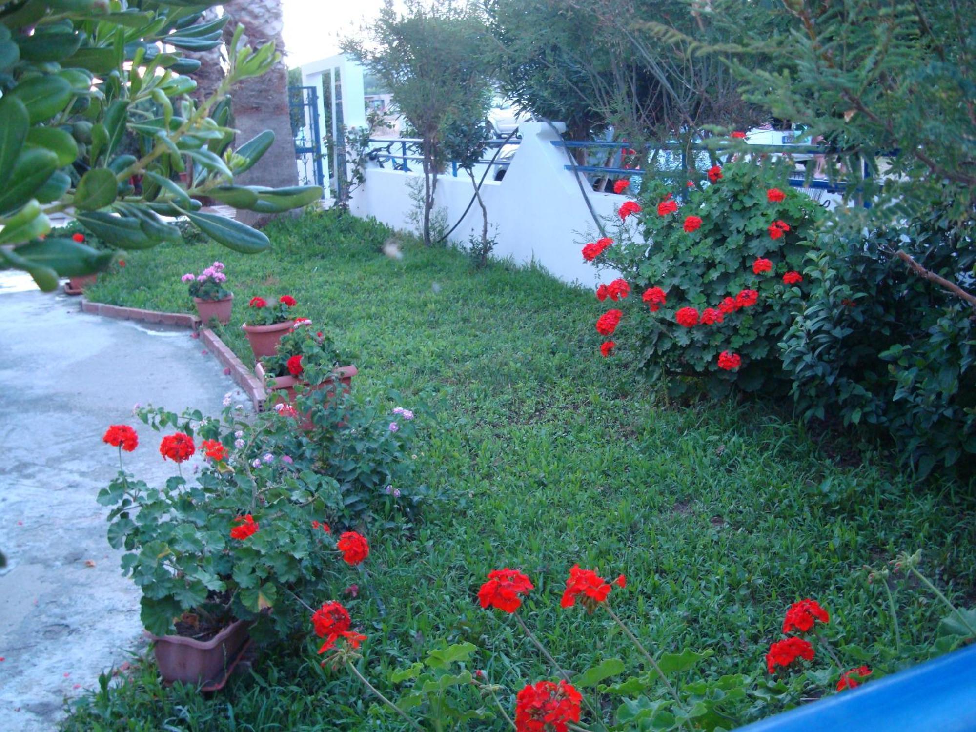 Kardamena  Philippos Studios & Apartments מראה חיצוני תמונה